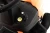 dbe71c142fae34ffa427c9f315b07525.webp