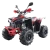 13.webp